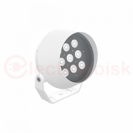 Светильник светодиодный ДПУ-50Вт RGBW IP66 20 гр. Frieze M DMX Белый