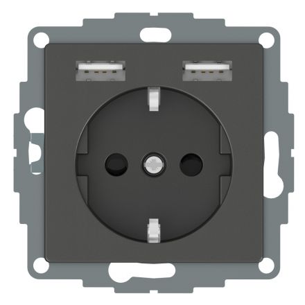 Розетка Schuko MERTEN SM с 2 USB c зарядным устройством 2.4 A антрацит