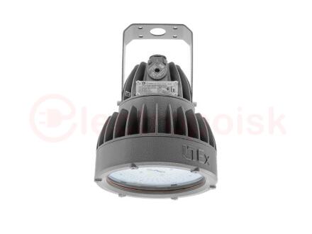 Светильник светодиодный ZENITH LED 90 D270 B Ex G2